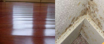 Moisture Control